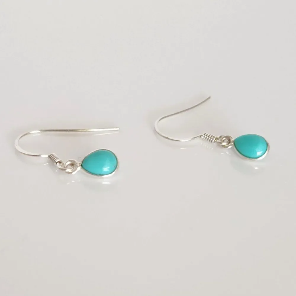 Sonoran Turquoise Earrings in Sterling Silver